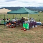 IMG_3860 (Medium)